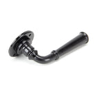 Black Regency Lever on Rose Set - Unsprung | From The Anvil-Lever on Rose-Yester Home