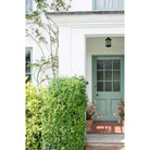 Black Rim Cylinder KD | From The Anvil-Night Latches-Yester Home