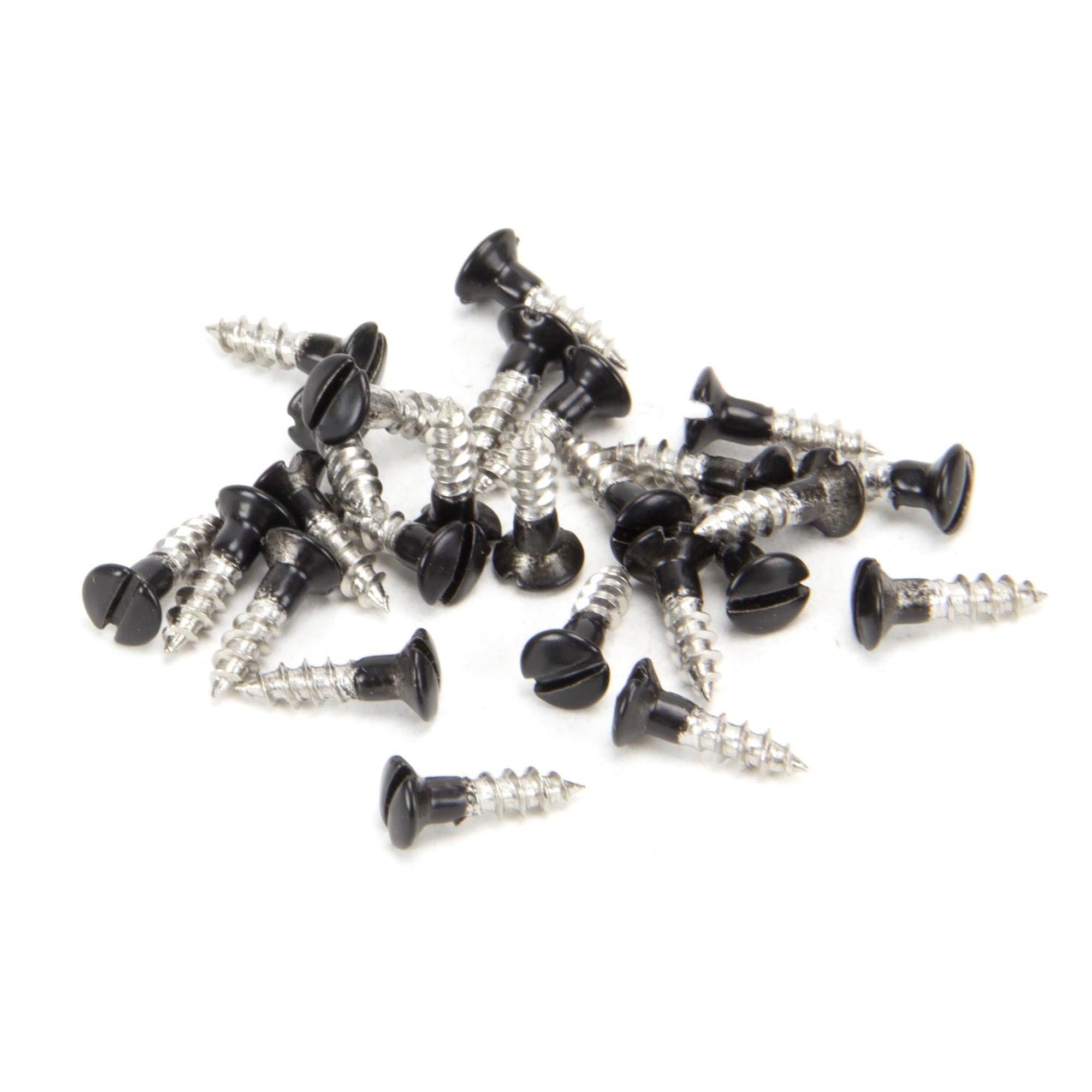 Black SS 3.0 x 12 Csk R/Head Screws (25) | From The Anvil - Screws & Bolts - From The Anvil - Yester Home