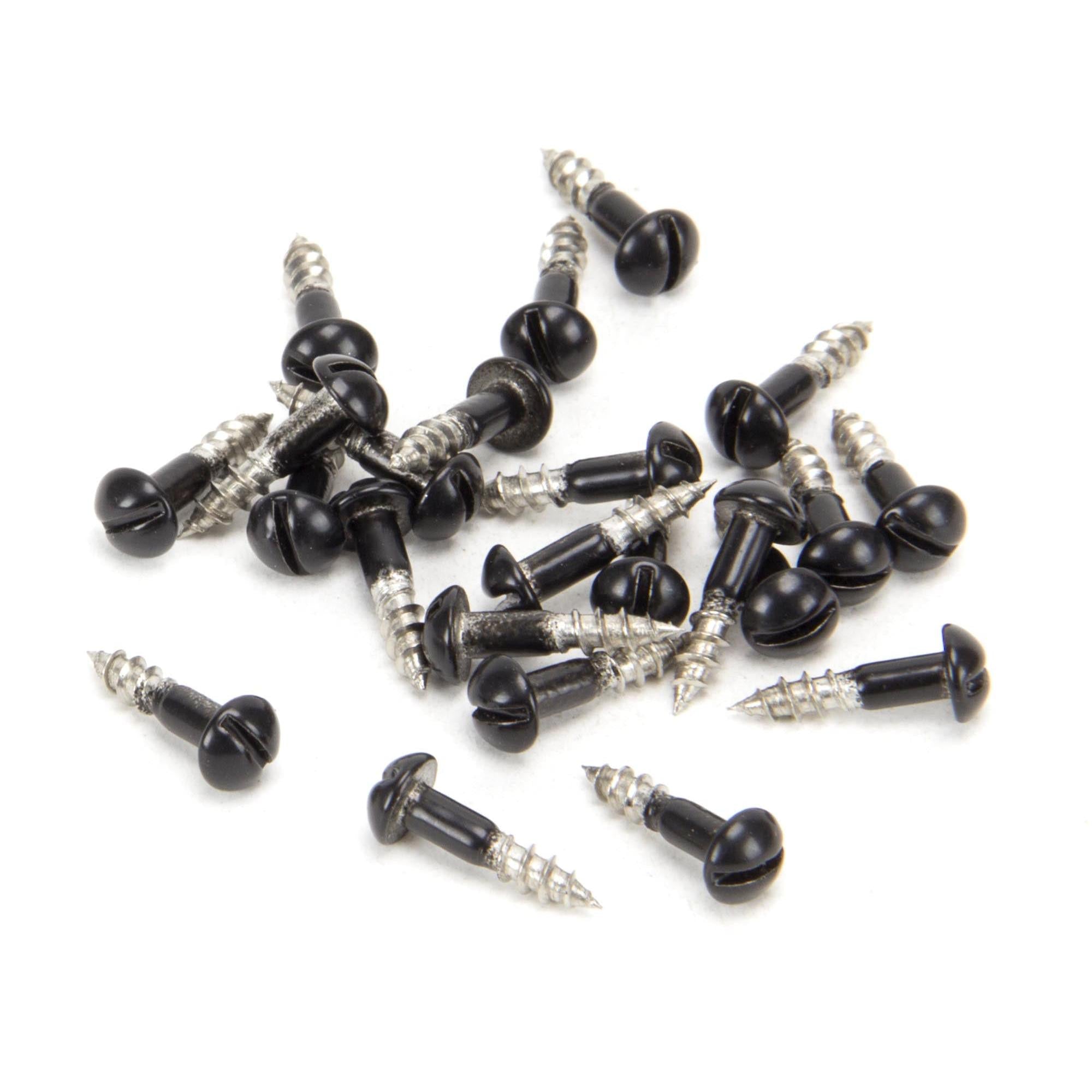 Black SS 3.0 x 12  Roundhead Screws (25) | From The Anvil - Screws & Bolts - From The Anvil - Yester Home