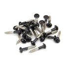 Black SS 3.5 x 20  Roundhead Screws (25) | From The Anvil - Screws & Bolts - From The Anvil - Yester Home
