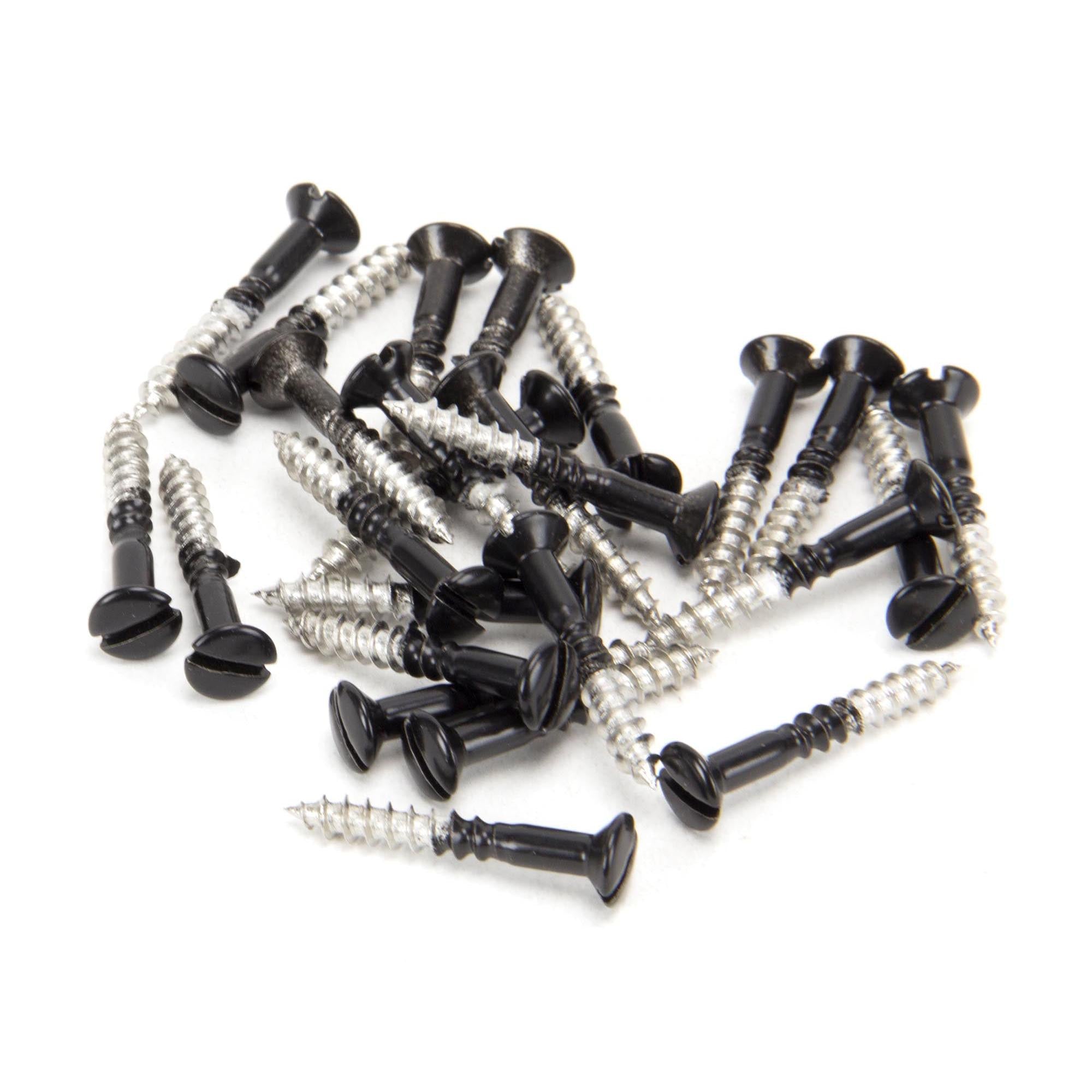 Black SS 3.5 x 25 Csk R/ Head Screws (25) | From The Anvil - Screws & Bolts - From The Anvil - Yester Home