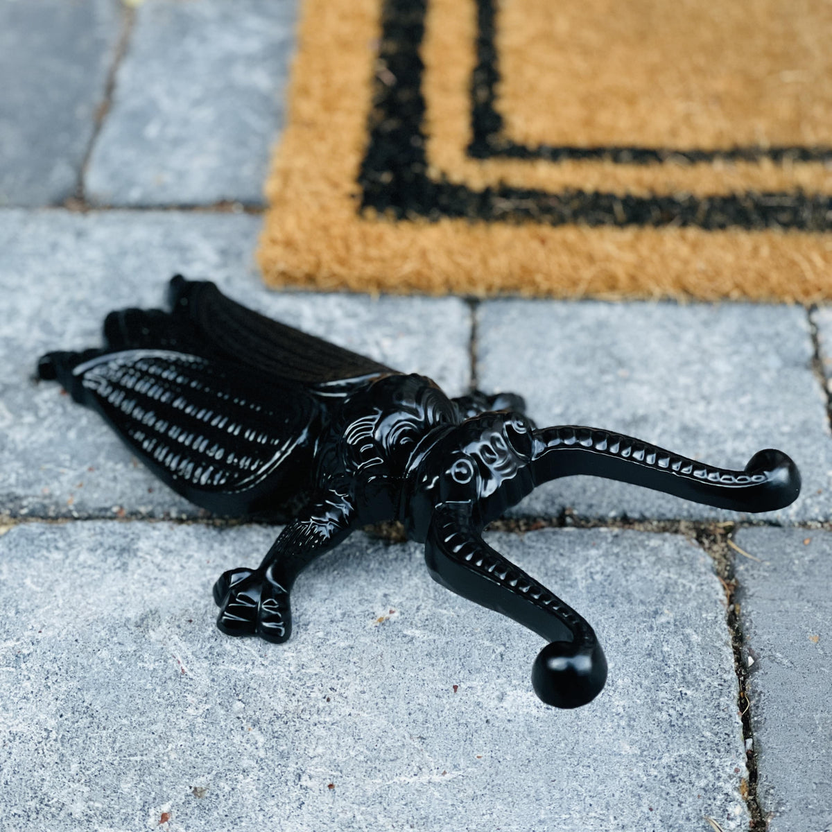 Cast Iron Beetle Boot Pull – Yester Home