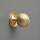 Classic Round Cupboard Knob | Brass - Cabinet Knobs - Yester Home - Yester Home