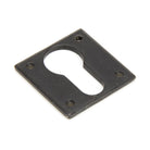 External Beeswax Avon Euro Escutcheon | From The Anvil - Euro Escutcheons - From The Anvil - Yester Home