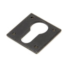 External Beeswax Avon Euro Escutcheon | From The Anvil-Euro Escutcheons-Yester Home