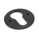 External Beeswax Regency Euro Escutcheon | From The Anvil-Euro Escutcheons-Yester Home