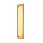 Georgian Finger Plate 285mm Polished Brass-Finger Plates & Letter Plates-Yester Home