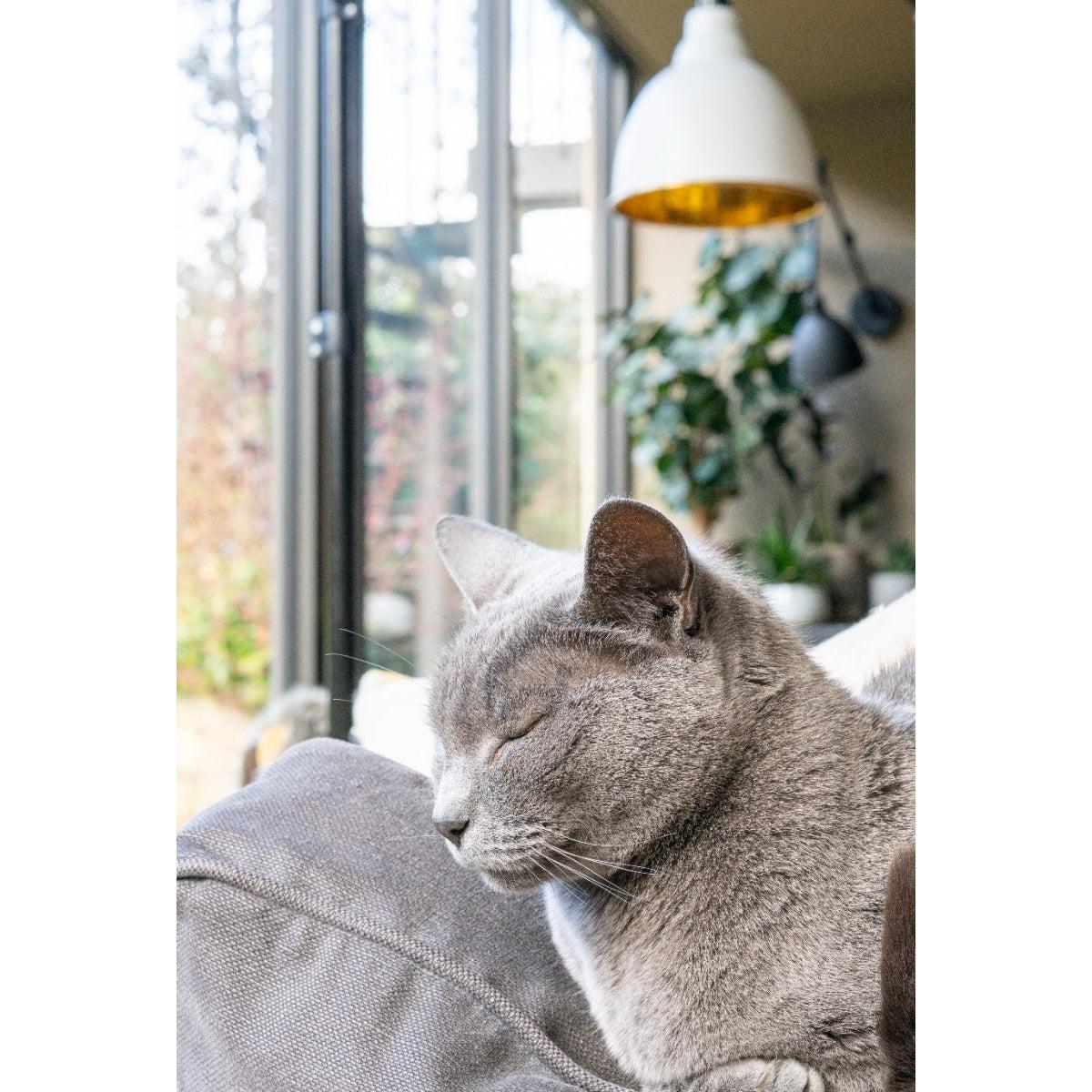 Hammered Brass Brindley Pendant in Flock | From The Anvil-Brindley-Yester Home