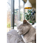 Hammered Brass Brindley Pendant in Flock | From The Anvil-Brindley-Yester Home