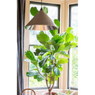 Hammered Nickel Hockley Pendant in Bluff | From The Anvil-Hockley-Yester Home