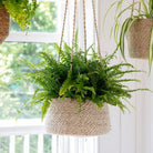 Hanging Jute Plant Pots-Plant Pots-Yester Home