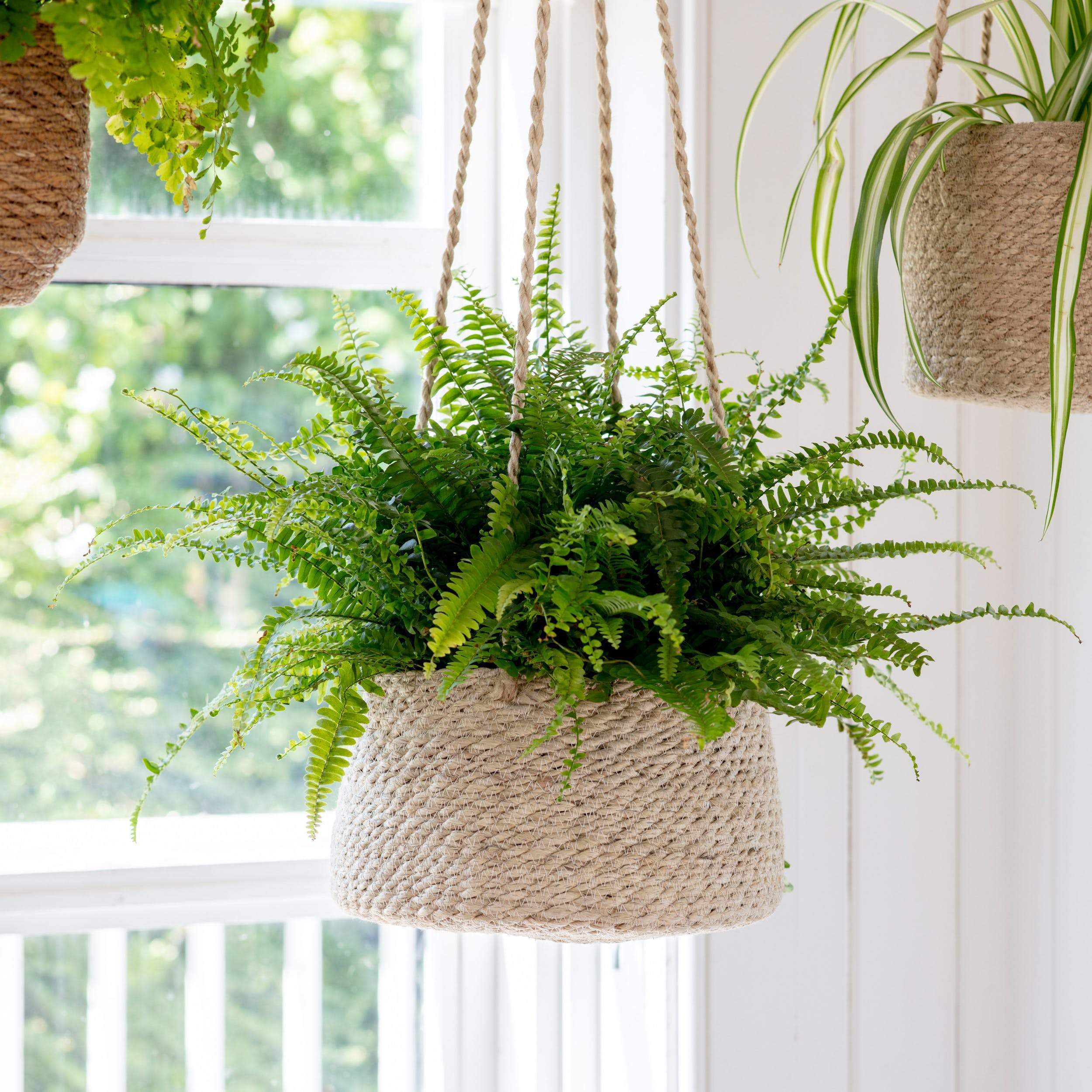 jute pots for plants Hanging Jute Plant Pots – Yester Home