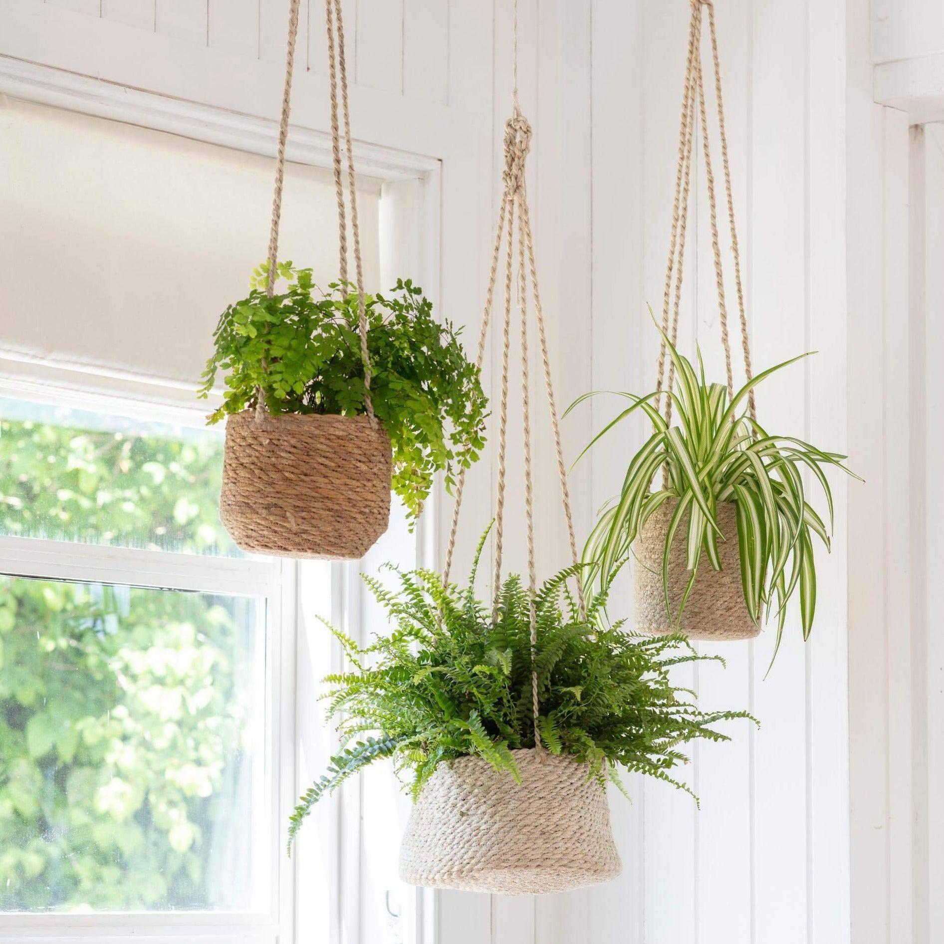 large jute plant pot Hanging Jute Plant Pots – Yester Home