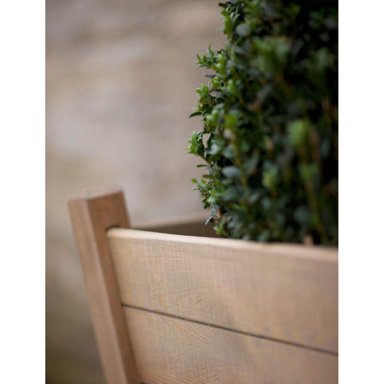Kingham Planter | 60cm - Pots, Planters & Troughs - Garden Trading - Yester Home