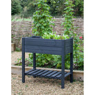 Latchmere Raised Planter, 79cm - Pine-Pots, Planters & Troughs-Yester Home