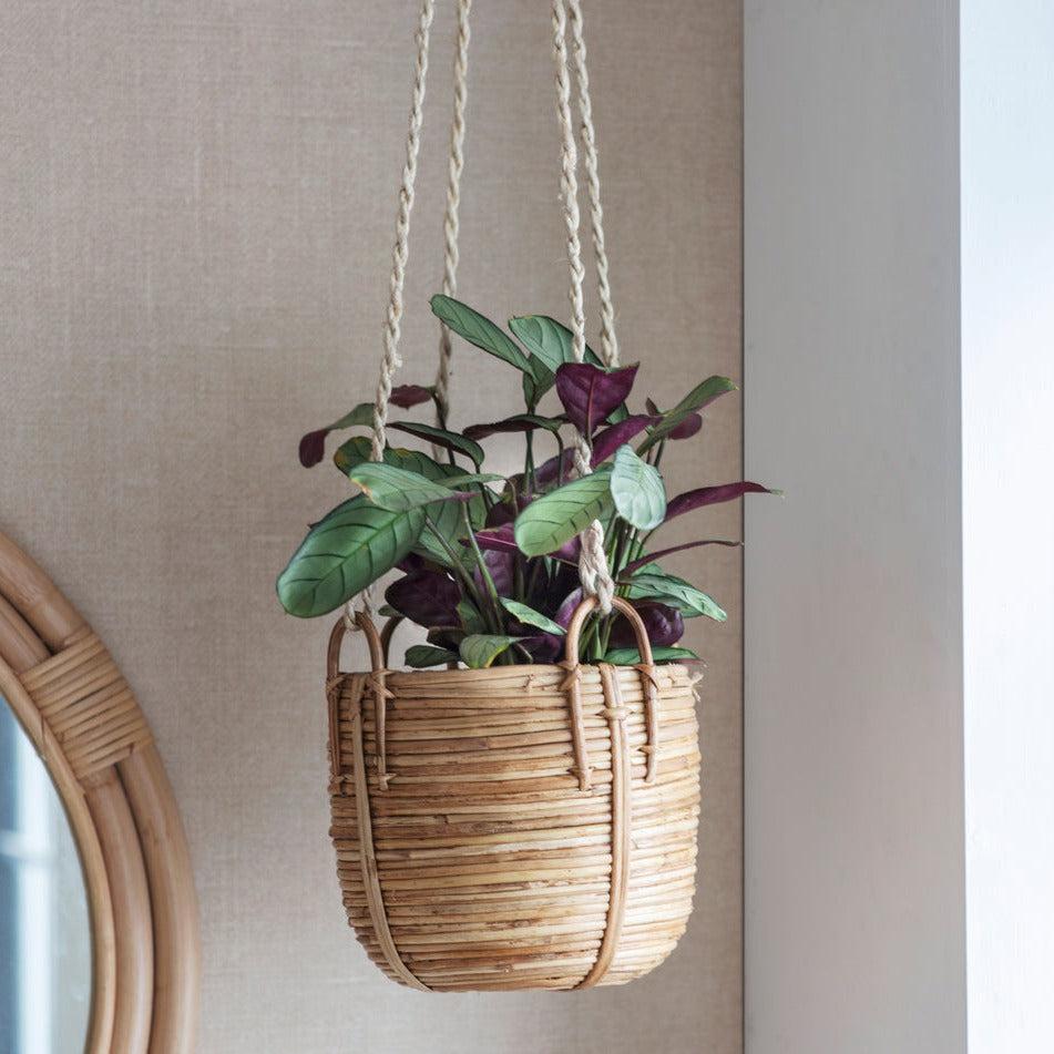 Mayfield Rattan Hanging Plant Pot-Plant Pots-Yester Home