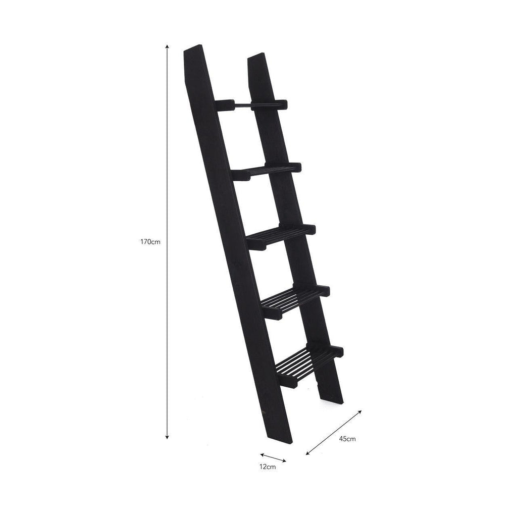 Moreton Ladder - Spruce