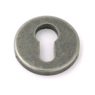 Pewter 52mm Regency Concealed Escutcheon | From The Anvil - Euro Escutcheons - From The Anvil - Yester Home