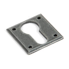 Pewter Avon Euro Escutcheon | From The Anvil-Euro Escutcheons-Yester Home