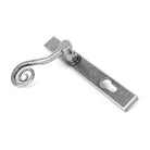 Pewter Monkeytail Slimline Lever Espag. Lock Set - LH | From The Anvil-Espagnolette-Yester Home