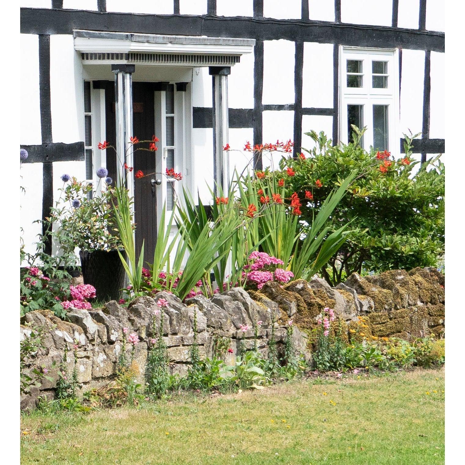 Pewter Oval Escutcheon & Cover | From The Anvil-Escutcheons-Yester Home