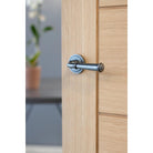 Pewter Regency Lever on Rose Set (Art Deco) | From The Anvil-Concealed-Yester Home