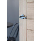 Pewter Regency Lever on Rose Set (Art Deco) | From The Anvil-Concealed-Yester Home