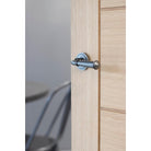 Pewter Regency Lever on Rose Set (Art Deco) | From The Anvil-Concealed-Yester Home