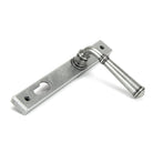 Pewter Regency Slimline Lever Espag. Lock Set | From The Anvil-Espagnolette-Yester Home
