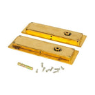 Polished Brass 175mm Plain Rectangular Pull - Privacy Set | From The Anvil-Cabinet Pulls-Yester Home