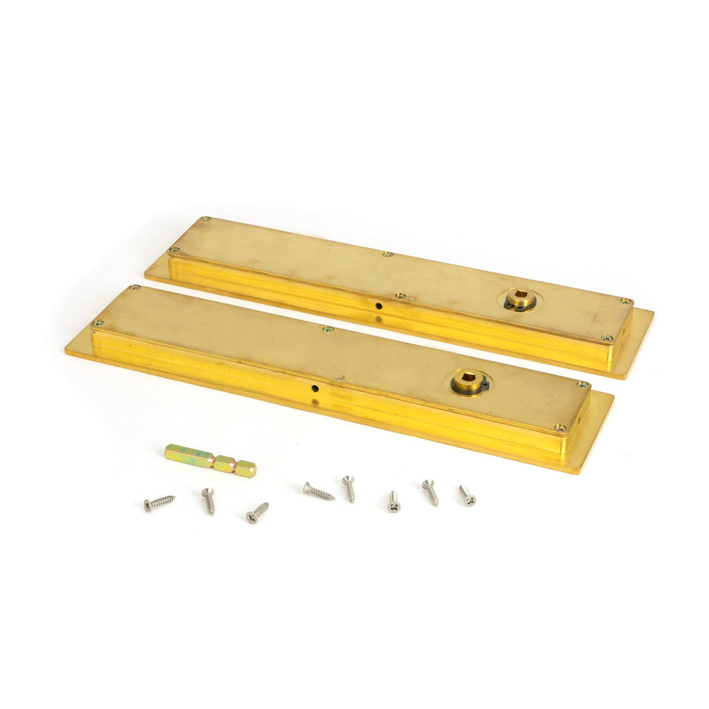 Polished Brass 250mm Plain Rectangular Pull - Privacy Set | From The Anvil-Cabinet Pulls-Yester Home