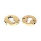 Polished Brass 52mm Regency Concealed Escutcheon | From The Anvil-Euro Escutcheons-Yester Home