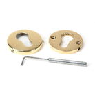 Polished Brass 52mm Regency Concealed Escutcheon | From The Anvil-Euro Escutcheons-Yester Home