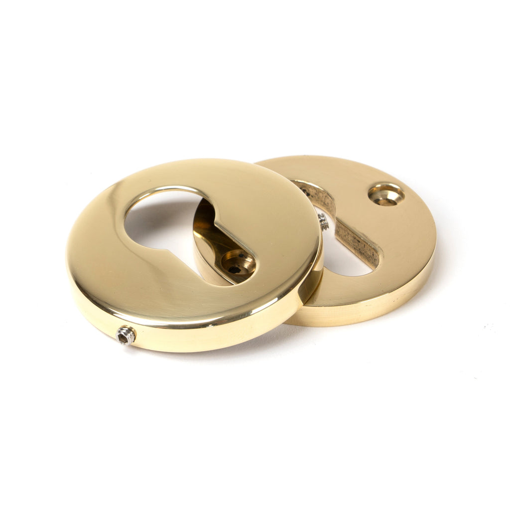 Polished Brass 52mm Regency Concealed Escutcheon | From The Anvil-Euro Escutcheons-Yester Home