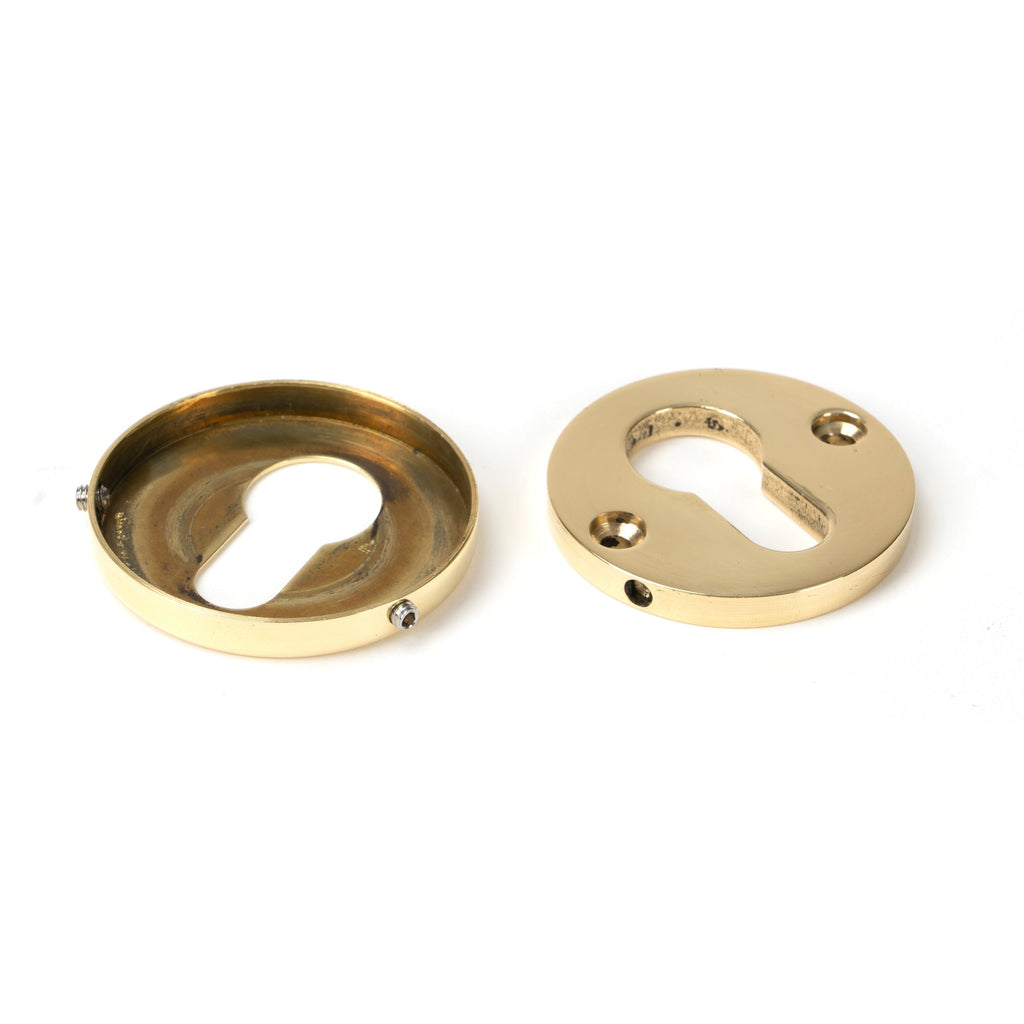Polished Brass 52mm Regency Concealed Escutcheon | From The Anvil-Euro Escutcheons-Yester Home