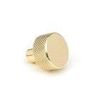 Polished Brass Brompton Cabinet Knob - 25mm (No rose) | From The Anvil - Cabinet Knobs - From The Anvil - Yester Home