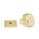 Polished Brass Brompton Cabinet Knob - 25mm (Square) | From The Anvil - Cabinet Knobs - From The Anvil - Yester Home