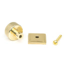 Polished Brass Brompton Cabinet Knob - 25mm (Square) | From The Anvil - Cabinet Knobs - From The Anvil - Yester Home