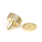 Polished Brass Brompton Cabinet Knob - 32mm (Plain) | From The Anvil - Cabinet Knobs - From The Anvil - Yester Home