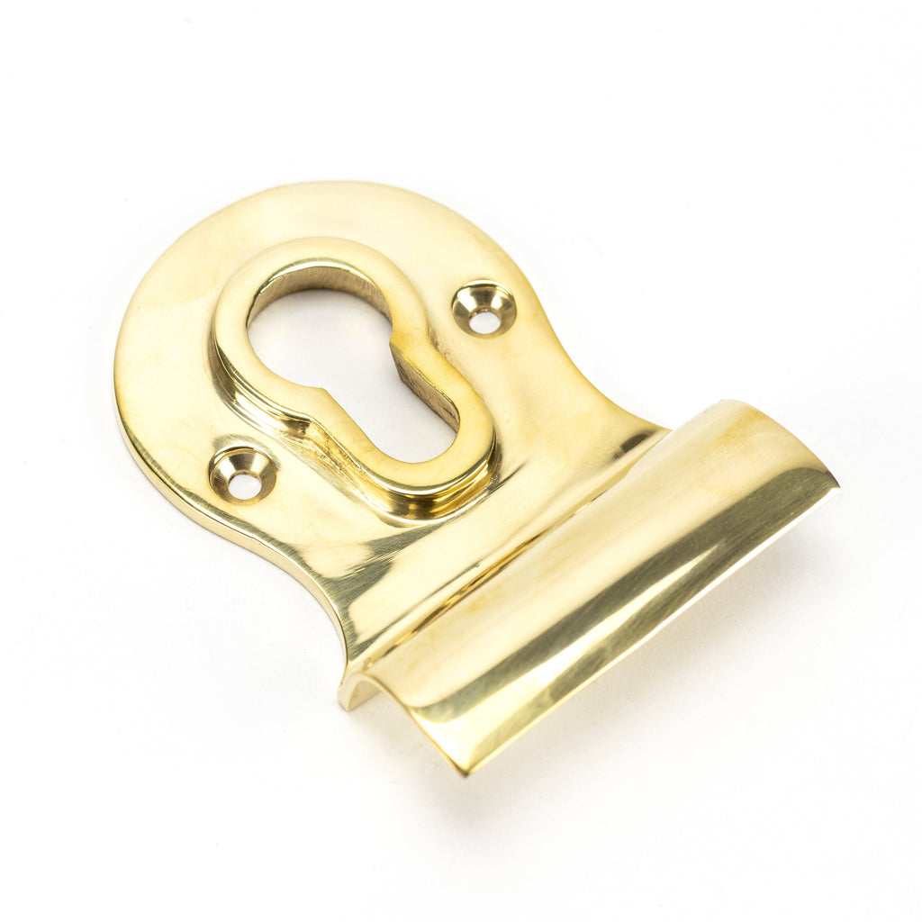 Polished Brass Euro Door Pull | From The Anvil