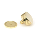 Polished Brass Judd Cabinet Knob - 38mm (Plain) | From The Anvil - Cabinet Knobs - From The Anvil - Yester Home