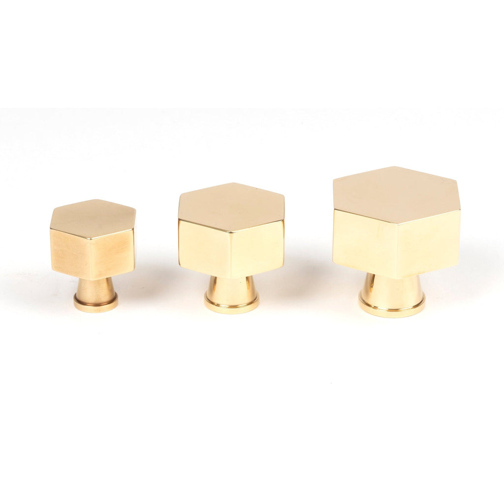Polished Brass Kahlo Cabinet Knob - 25mm | From The Anvil-Cabinet Knobs-Yester Home