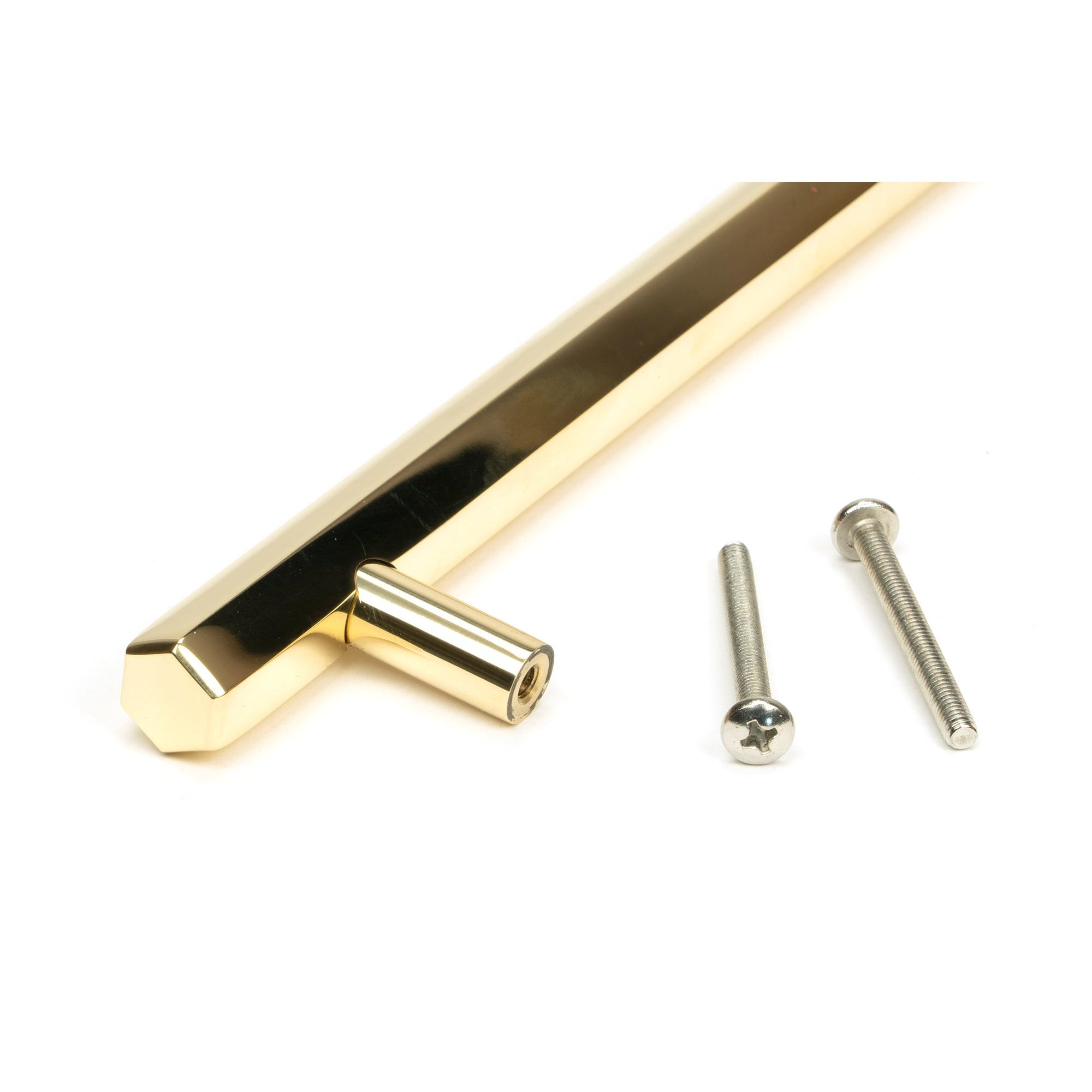 Polished Brass Kahlo Pull Handle - Large | From The Anvil-Pull Handles-Yester Home