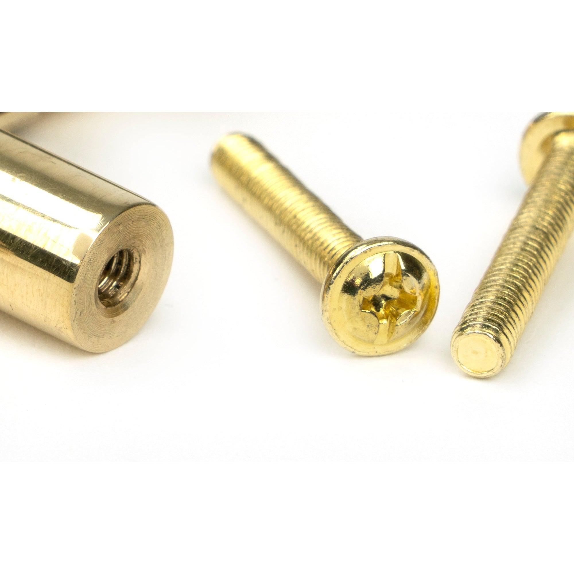 Polished Brass Kelso Pull Handle - Large | From The Anvil-Pull Handles-Yester Home