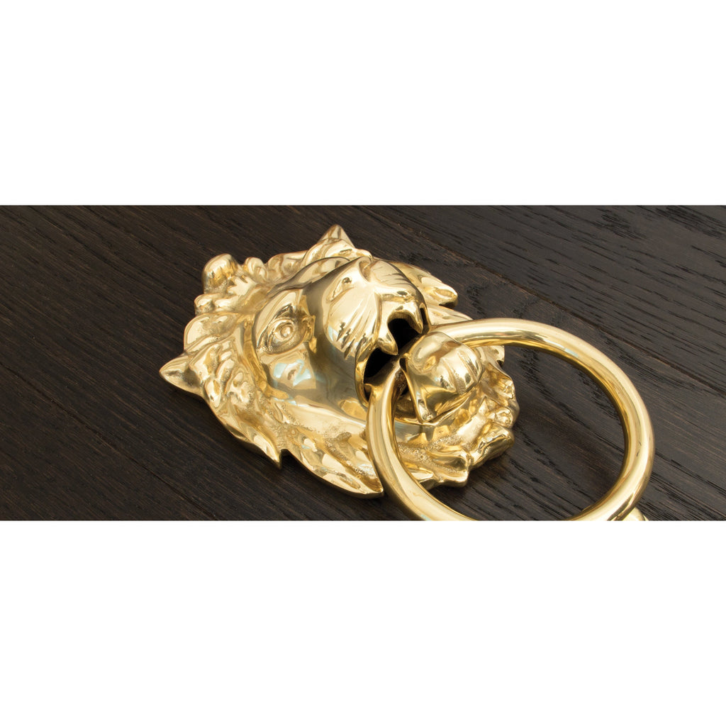 Polished Brass Lion Head Door Knocker | From The Anvil-Bolt-Through Door Knockers-Yester Home