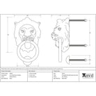 Polished Brass Lion Head Door Knocker | From The Anvil-Bolt-Through Door Knockers-Yester Home