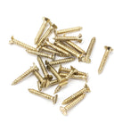 Polished Brass SS 4x¾" Countersunk Screws (25) | From The Anvil-Screws & Bolts-Yester Home
