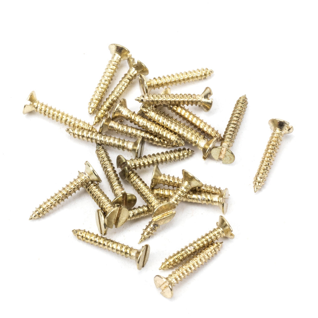 Polished Brass SS 4x¾" Countersunk Screws (25) | From The Anvil