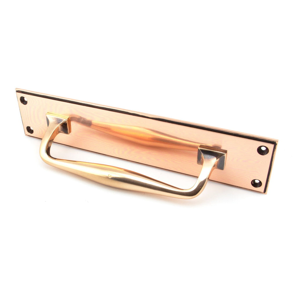 Polished Bronze 300mm Art Deco Pull Handle on Backplate | From The Anvil-On Backplate-Yester Home